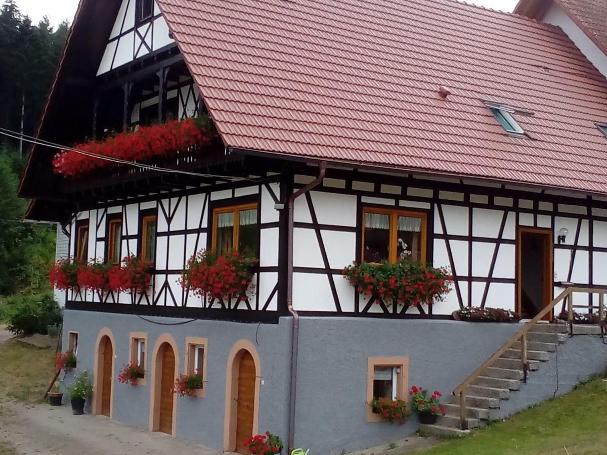 Steinhof Apartment Oberkirch  Bagian luar foto